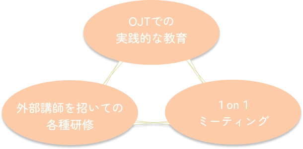 研修制度の内容